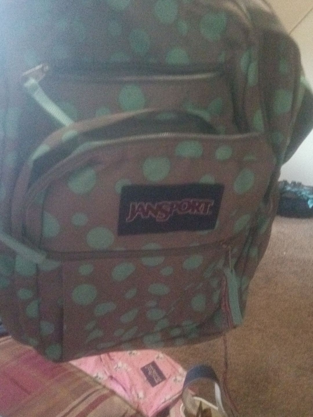 JanSport Mint Polka Dot Men's Backpack